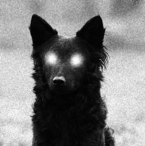Meet your Posher, Anomalous dog that lurks
